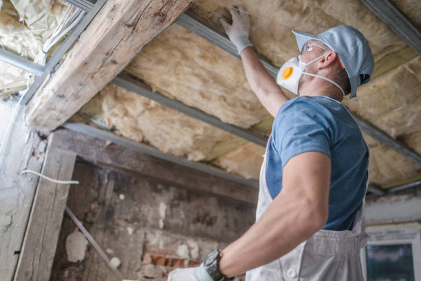 Best Residential Insulation in Lake Lakengren, OH