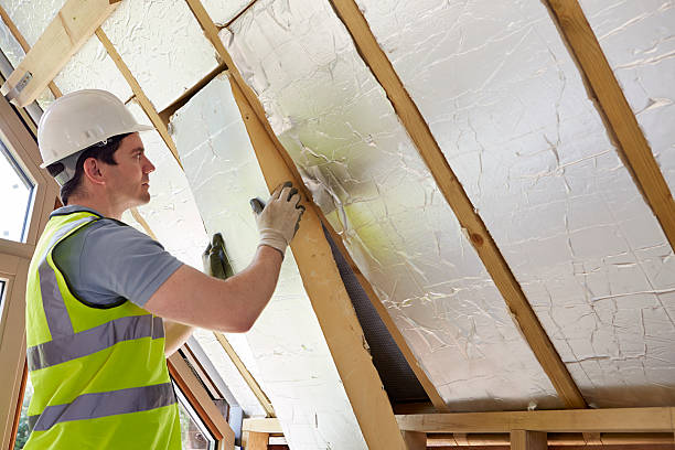 Best Geographic-Specific Insulation Services in Lake Lakengren, OH