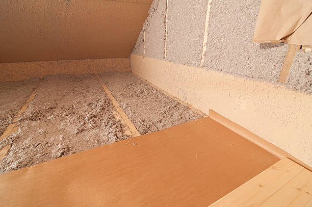 Best Eco-Friendly Insulation in Lake Lakengren, OH