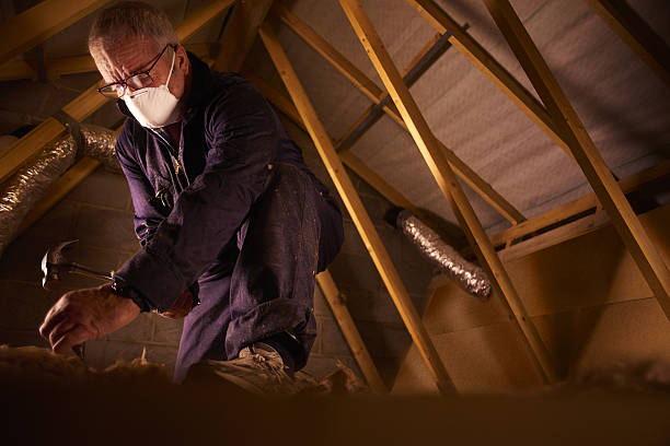 Best DIY Insulation Kits and Guidance in Lake Lakengren, OH
