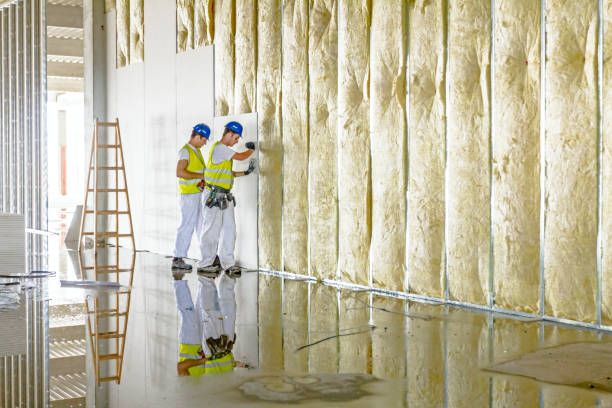 Best Insulation for Specific Applications in Lake Lakengren, OH